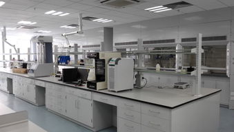 工業(yè)凈化與實(shí)驗(yàn)設(shè)備 包頭鋼木通風(fēng)柜與全鋼實(shí)驗(yàn)臺(tái)廠家的專(zhuān)業(yè)指南